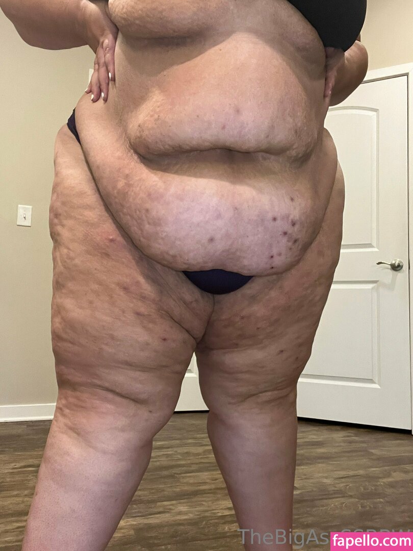 thebigassssbbw1 leaked nude photo #0187 (thebigassssbbw1 / thebigglooom)