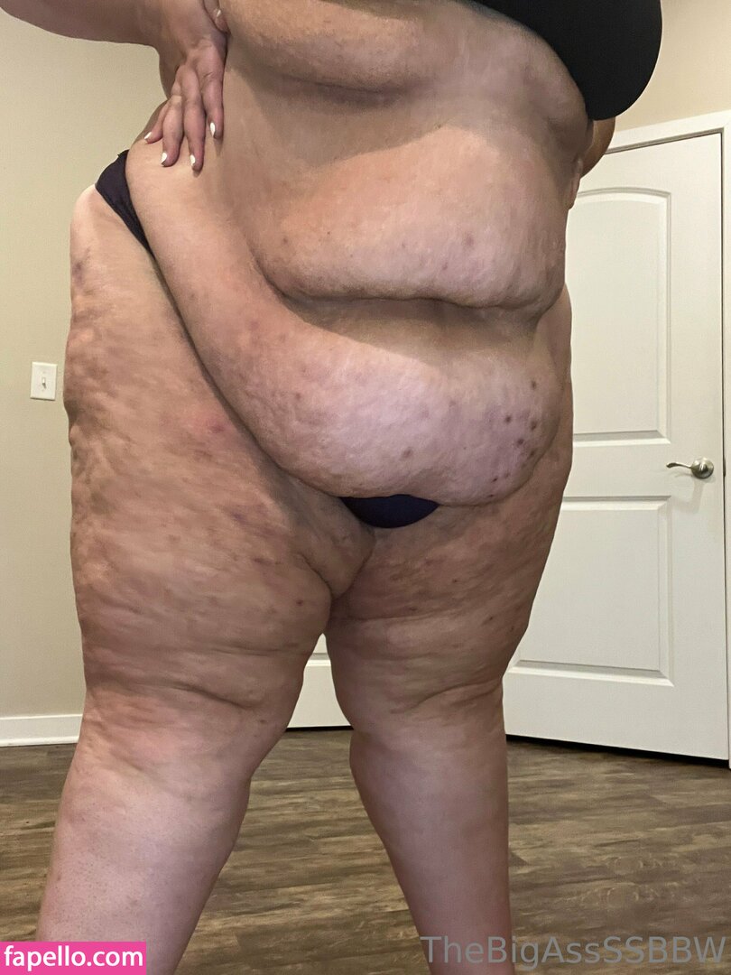 thebigassssbbw1 leaked nude photo #0189 (thebigassssbbw1 / thebigglooom)