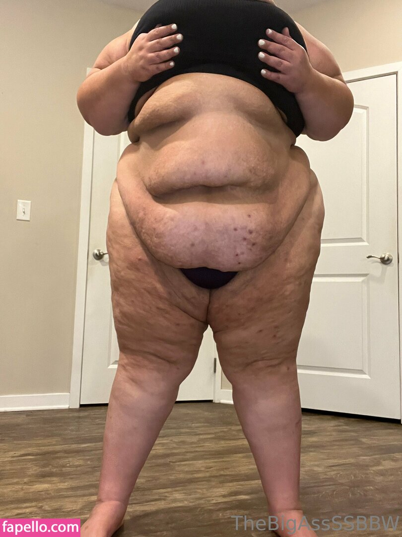 thebigassssbbw1 leaked nude photo #0190 (thebigassssbbw1 / thebigglooom)