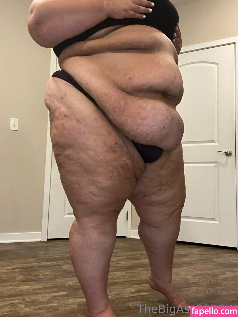 thebigassssbbw1 leaked nude photo #0191 (thebigassssbbw1 / thebigglooom)