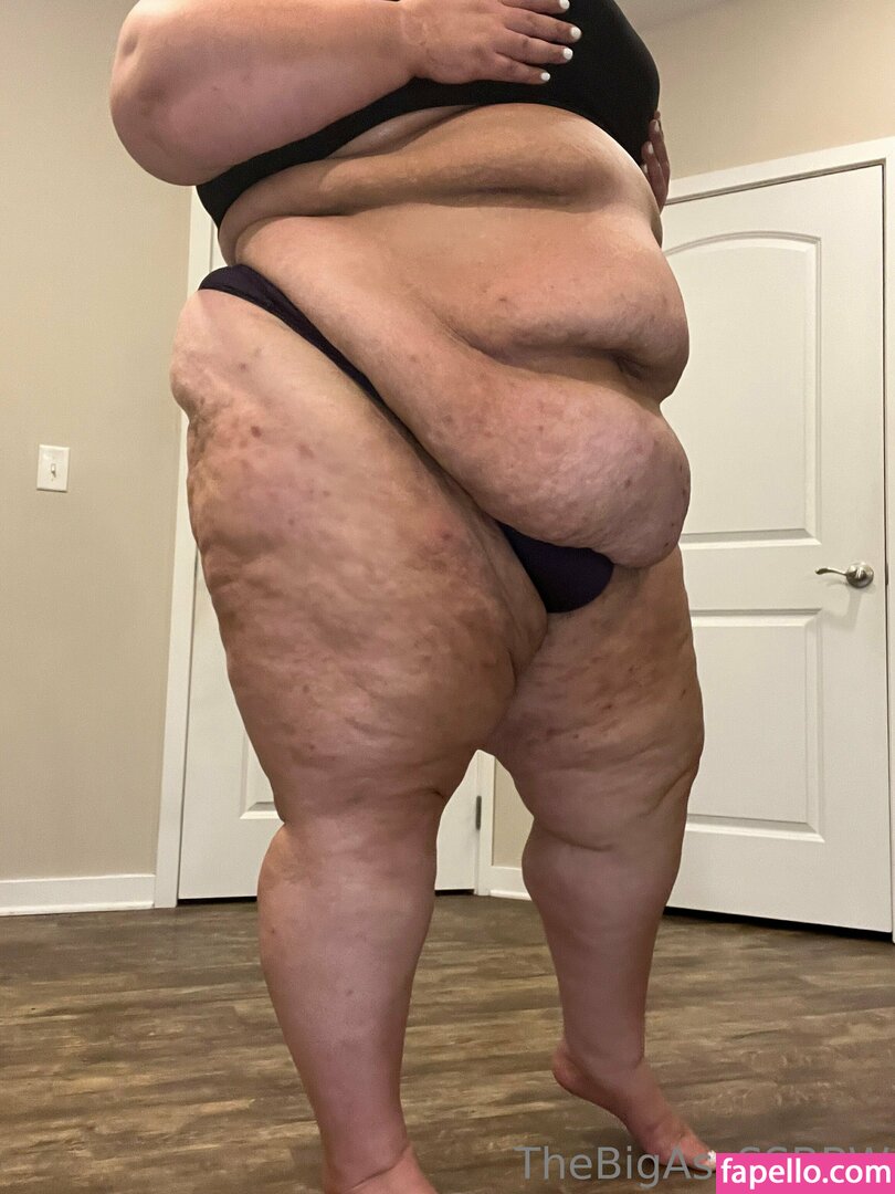 thebigassssbbw1 leaked nude photo #0192 (thebigassssbbw1 / thebigglooom)