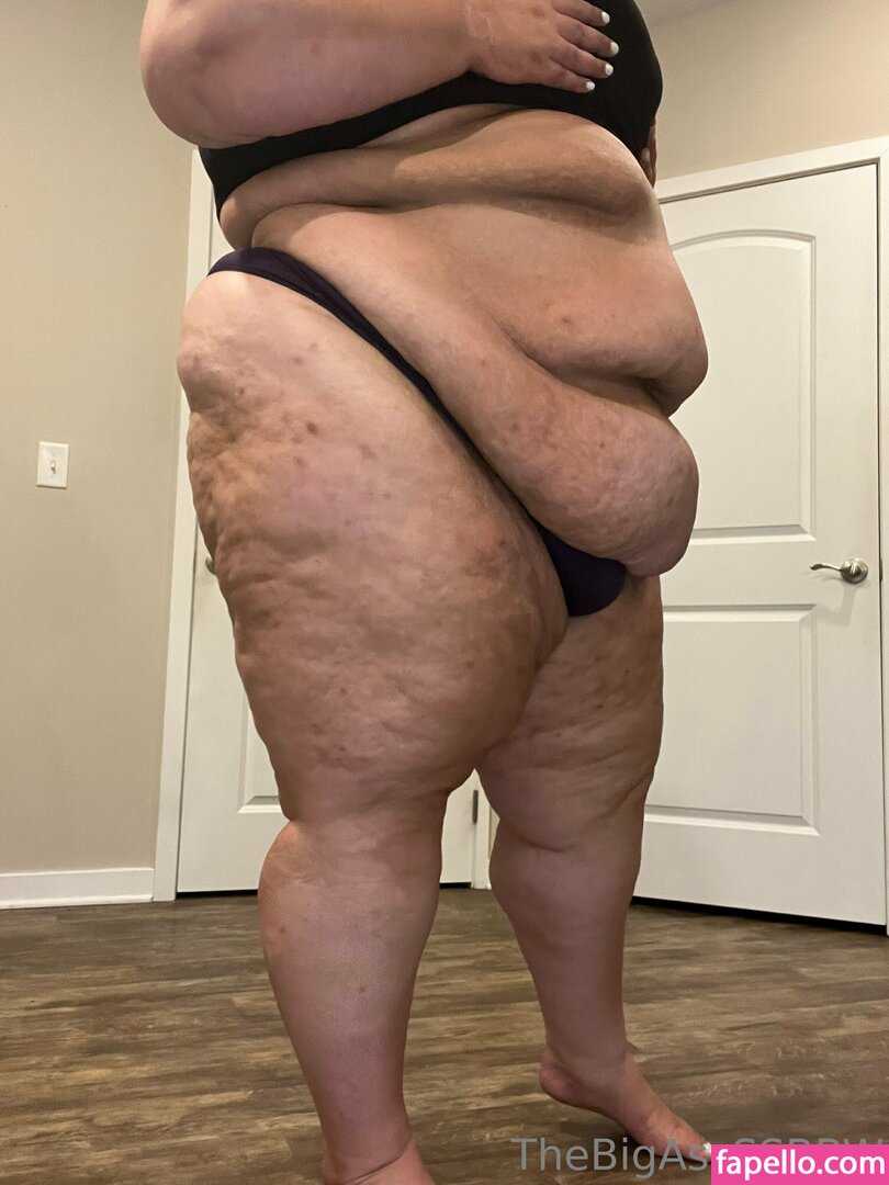 thebigassssbbw1 leaked nude photo #0193 (thebigassssbbw1 / thebigglooom)