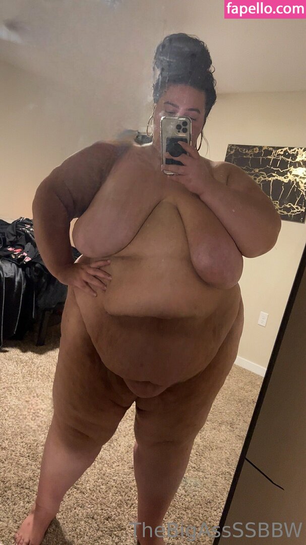 thebigassssbbw1 leaked nude photo #0222 (thebigassssbbw1 / thebigglooom)