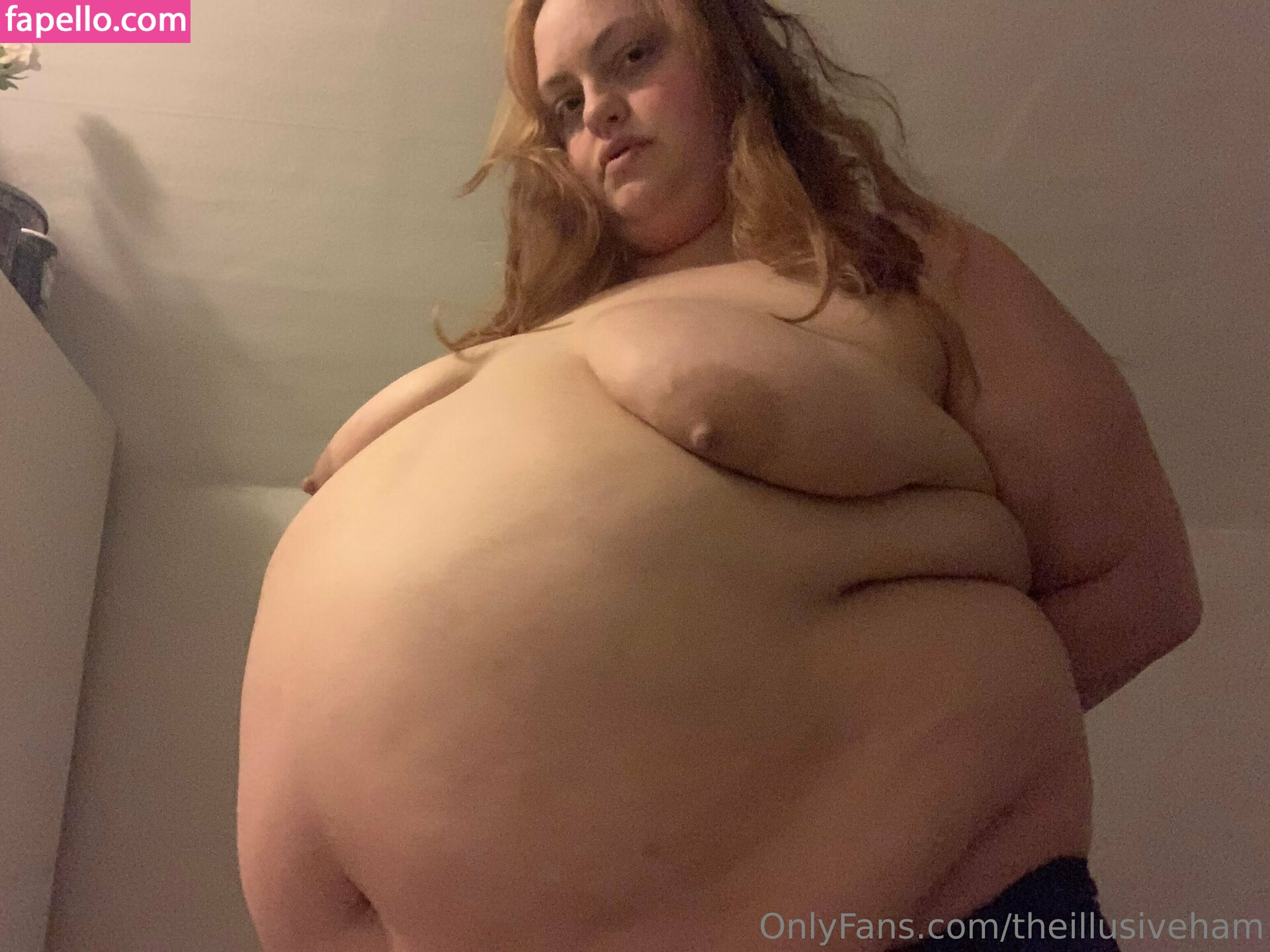 theillusiveham leaked nude photo #0242 (theillusiveham)