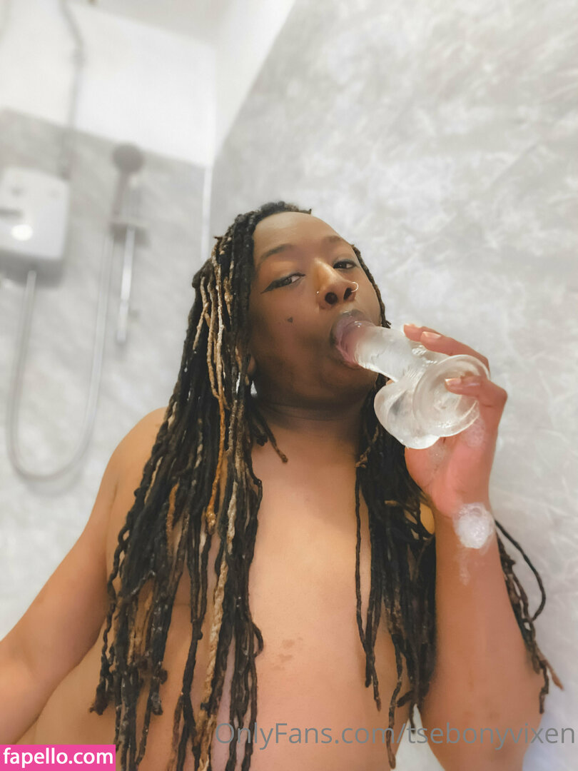 tsebonyvixen leaked nude photo #0048 (tsebonyvixen)