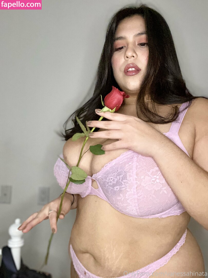 vanessahinata leaked nude photo #0009 (vanessahinata)