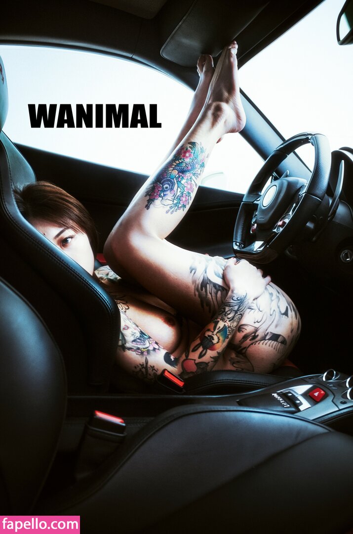 https://fapello.com/content/w/a/wanimal-models/1000/wanimal-models_0017.jpg