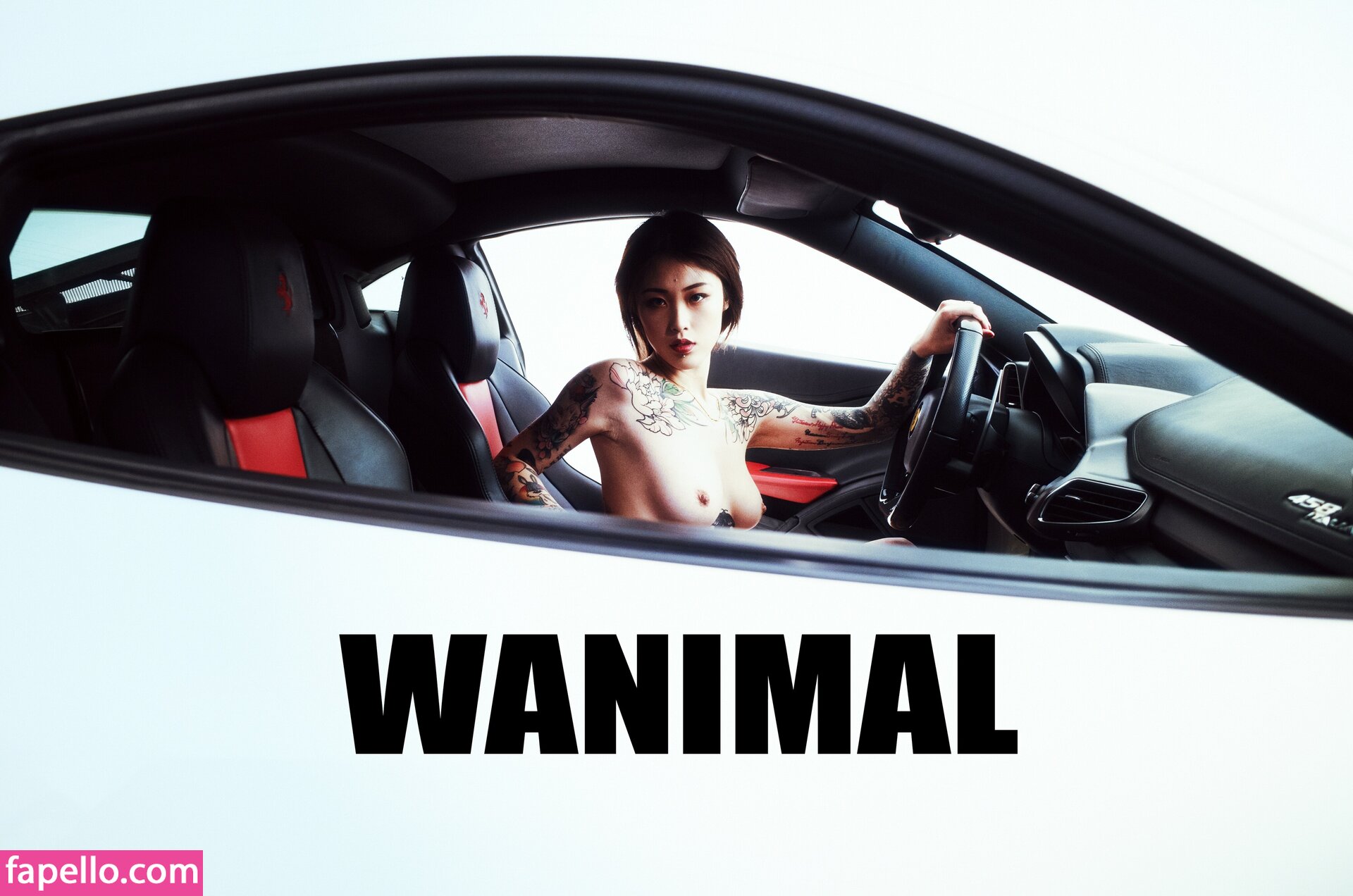 https://fapello.com/content/w/a/wanimal-models/1000/wanimal-models_0021.jpg