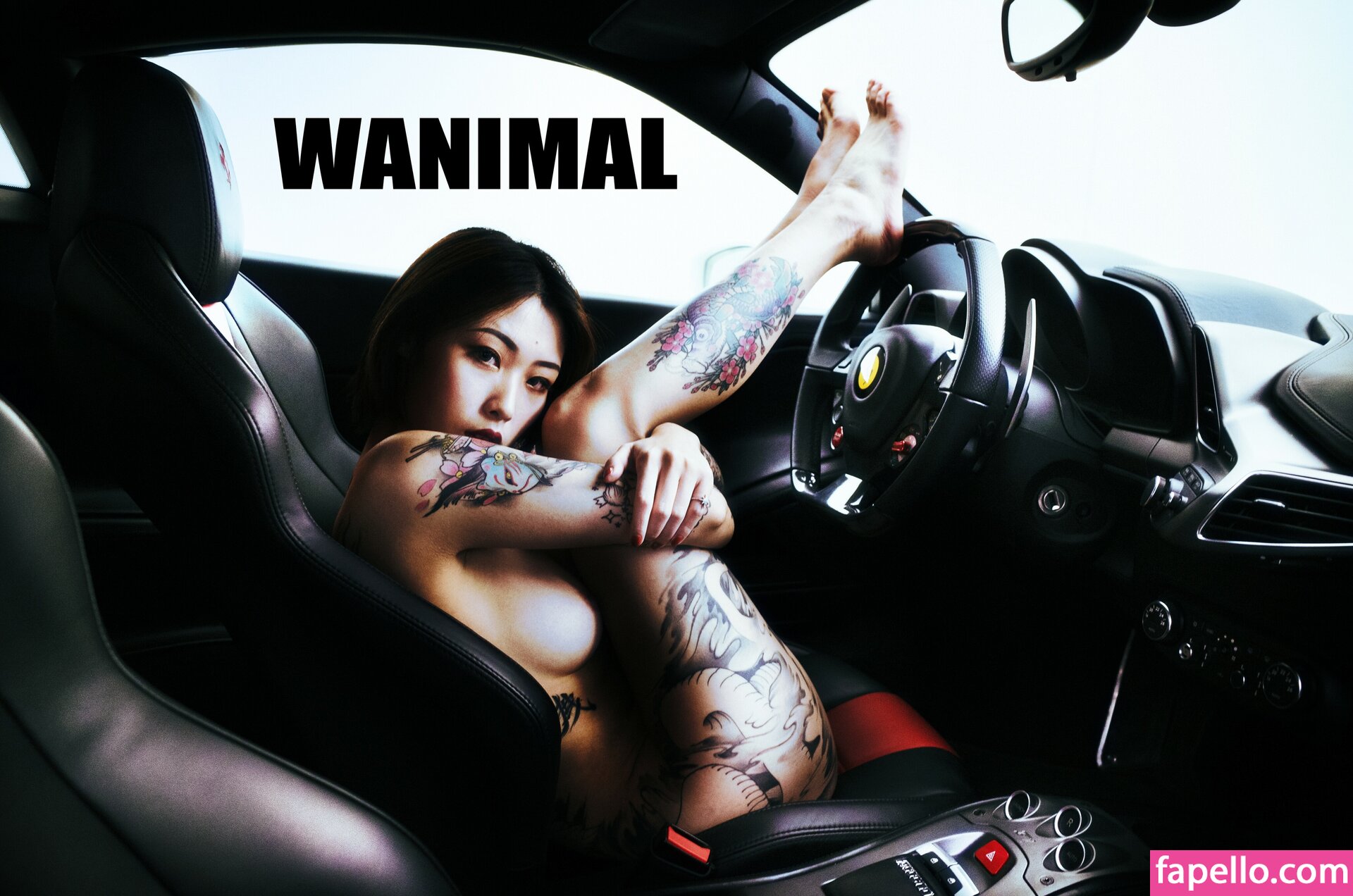 https://fapello.com/content/w/a/wanimal-models/1000/wanimal-models_0025.jpg