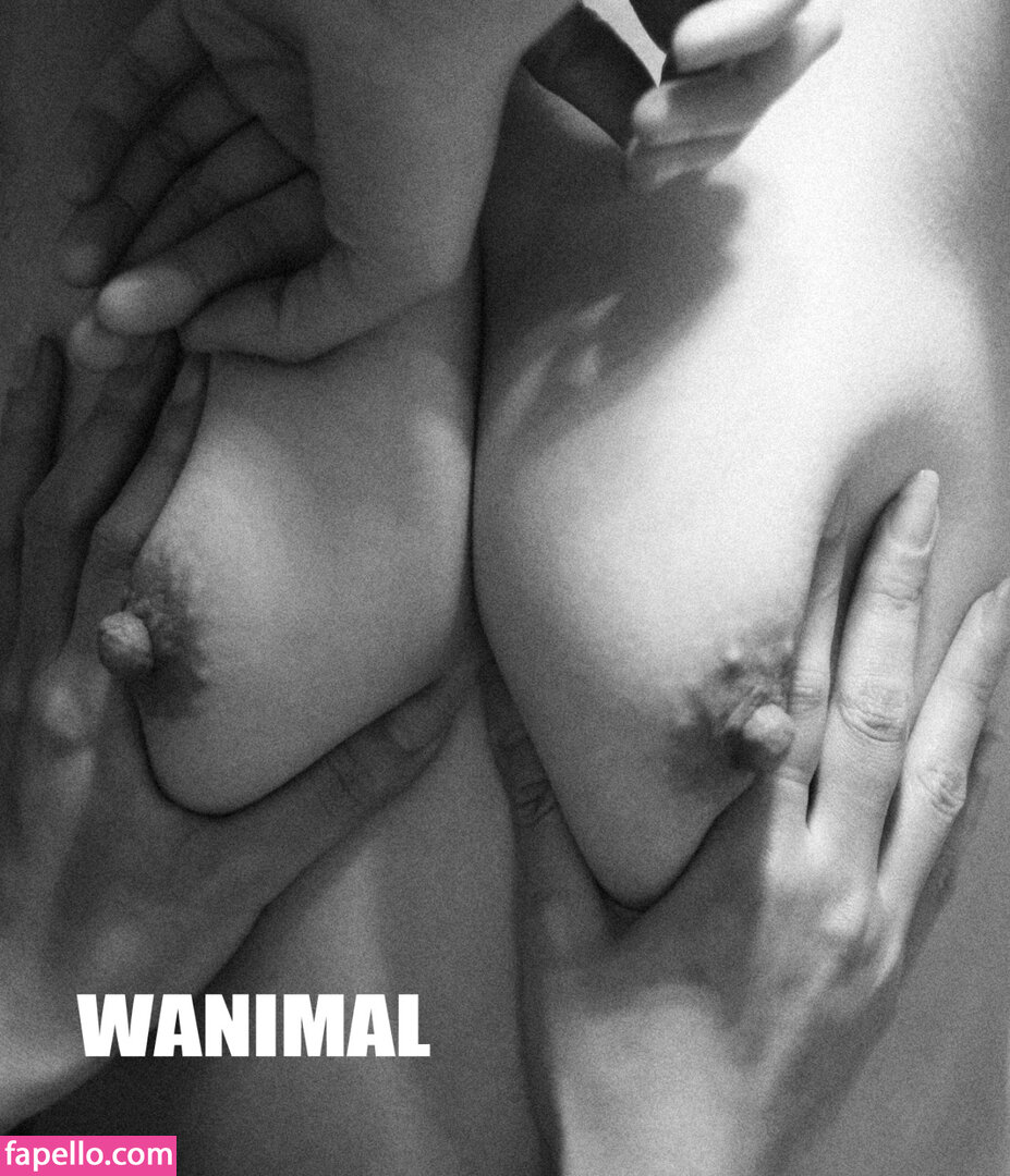 https://fapello.com/content/w/a/wanimal-models/1000/wanimal-models_0145.jpg