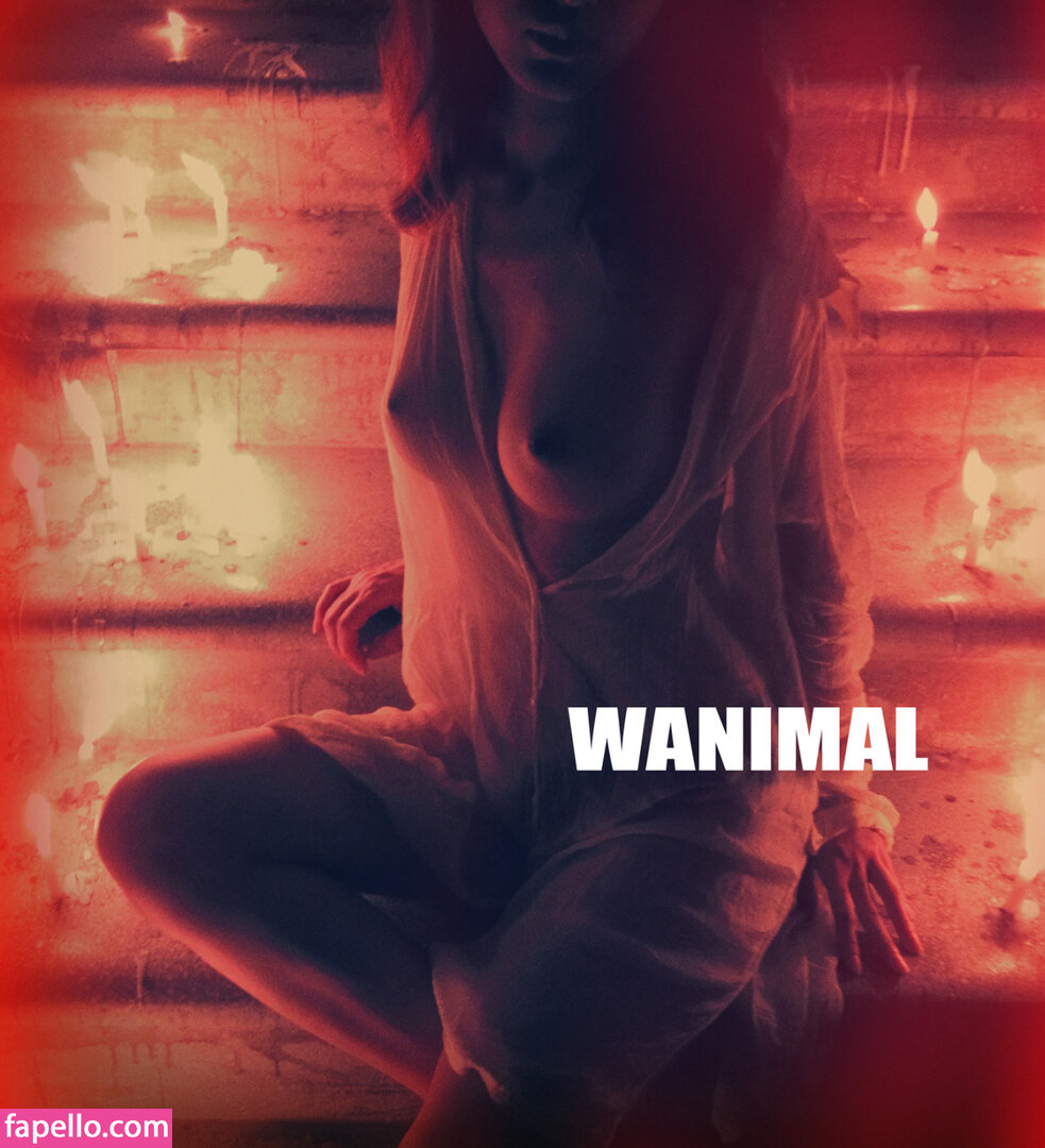 https://fapello.com/content/w/a/wanimal-models/1000/wanimal-models_0371.jpg