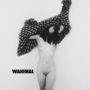 Wanimal Models #405