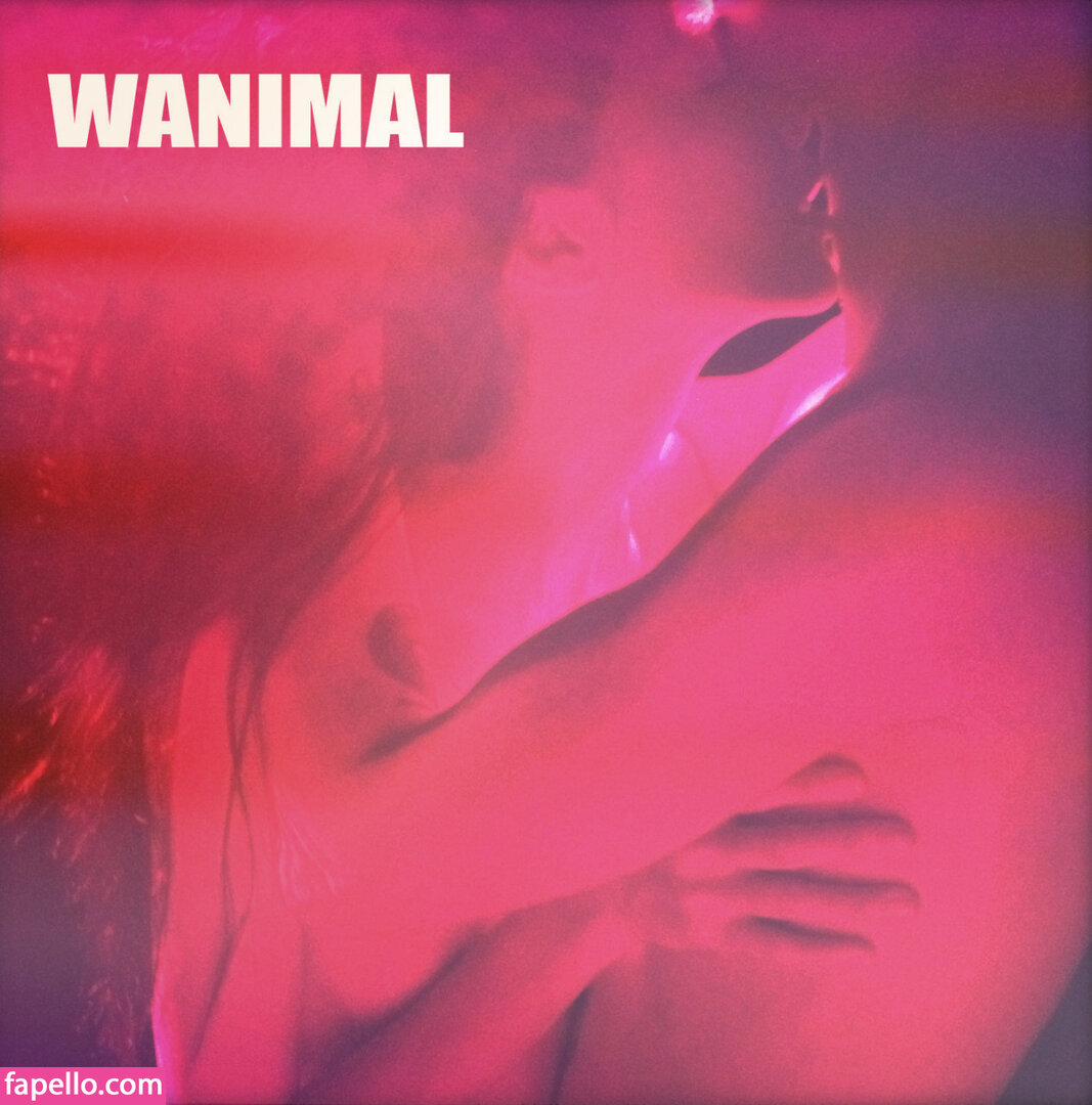 https://fapello.com/content/w/a/wanimal-models/1000/wanimal-models_0583.jpg