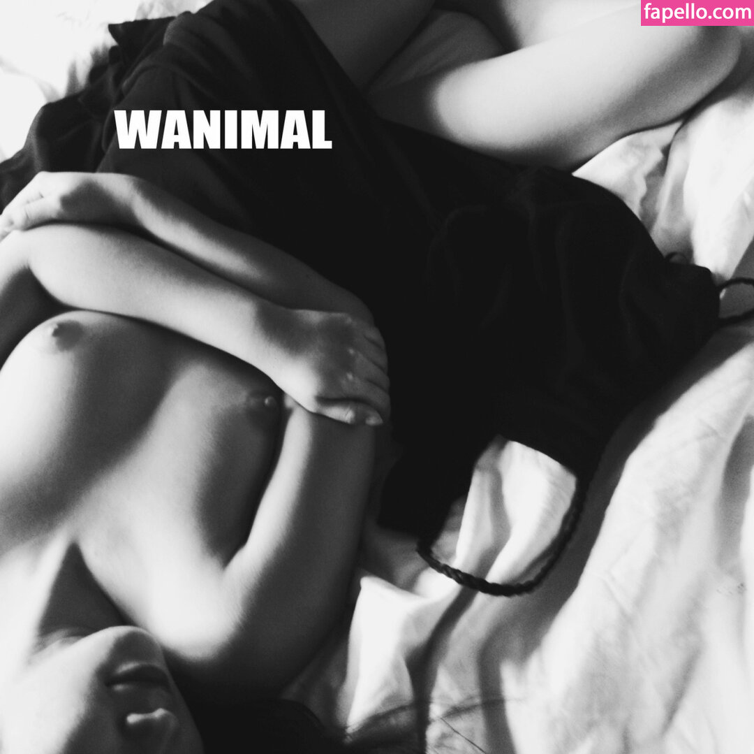 https://fapello.com/content/w/a/wanimal-models/1000/wanimal-models_0762.jpg