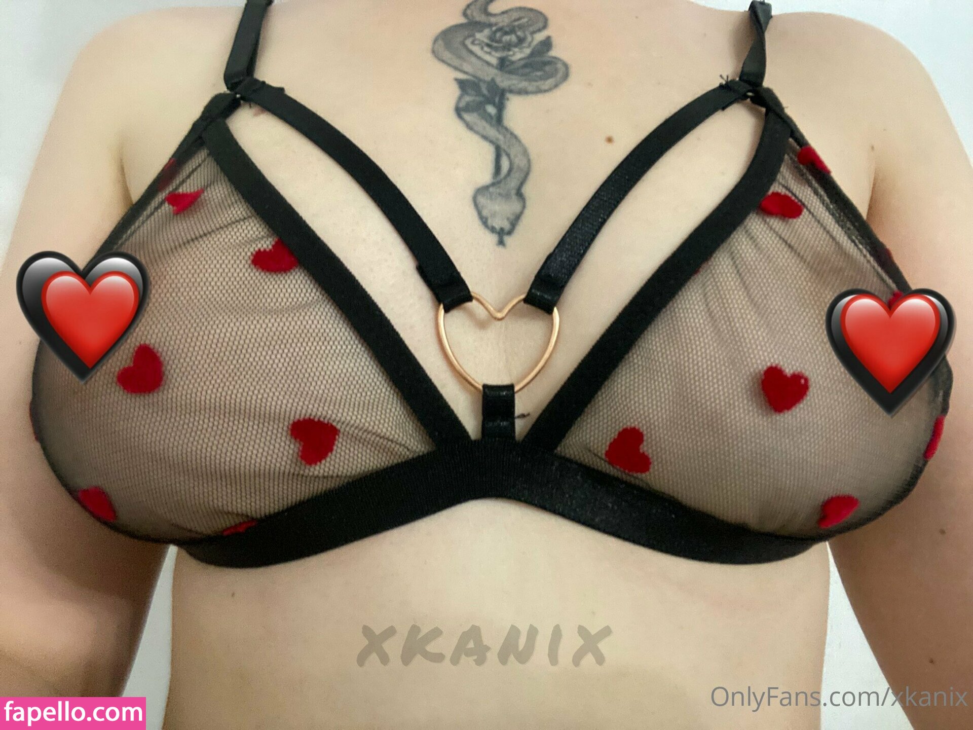 xkanix leaked nude photo #0030 (xkanix)